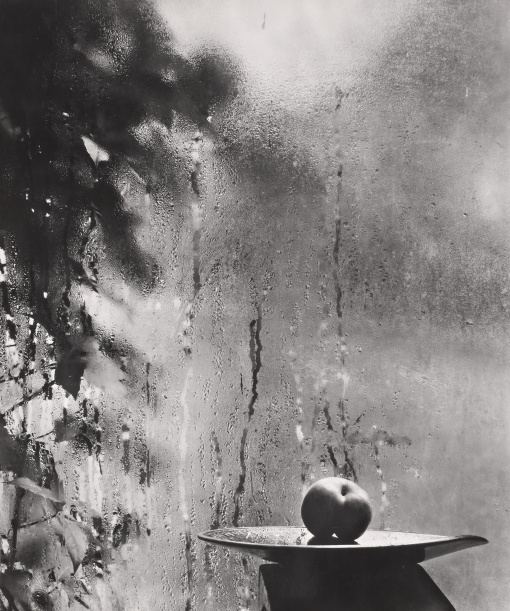 FOTOGRAFIE 1928 - 1958