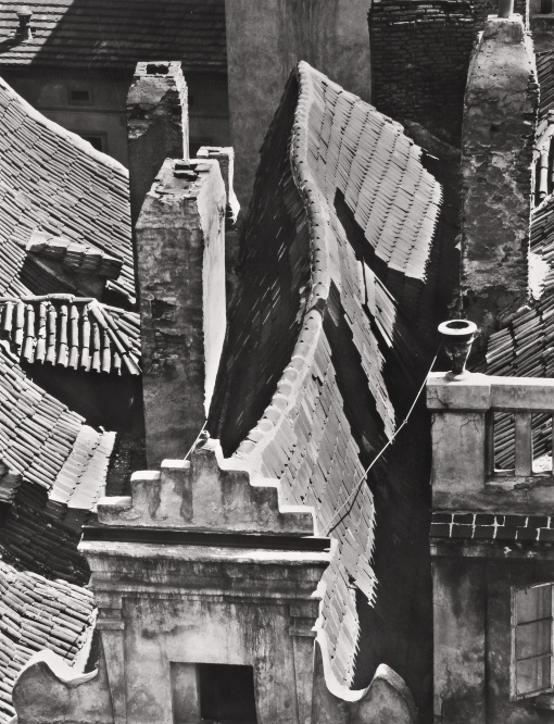 FOTOGRAFIE 1928 - 1958
