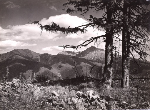 Podbansko