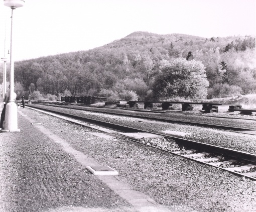 Koleje