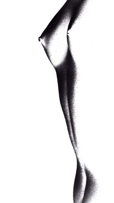 Torzo