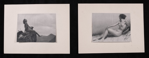 Ideale Schönheit, Album, 16 ks