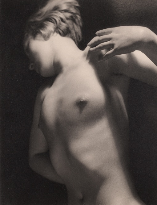 Torso