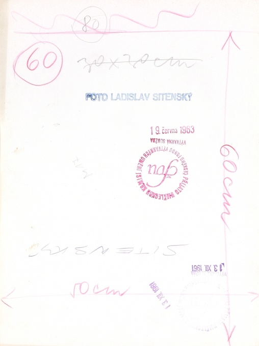 Z porodnice