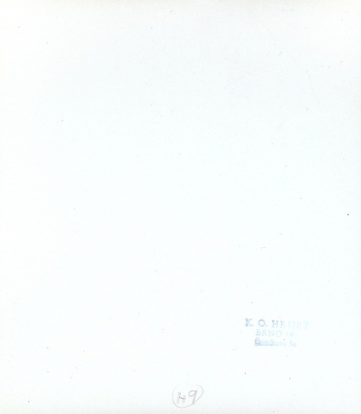 19.00