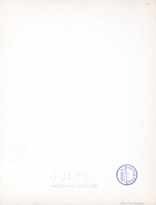 Solec