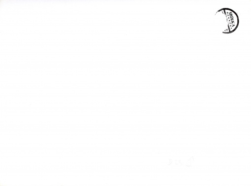 Růst