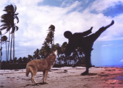 Kungfu, z cyklu Body Scale