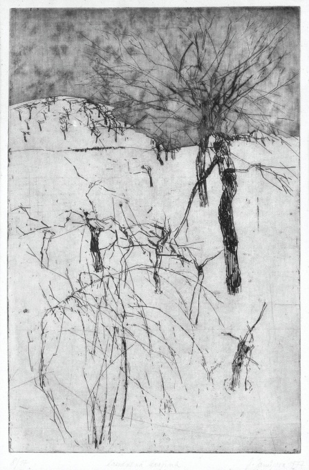 Zasněná krajina