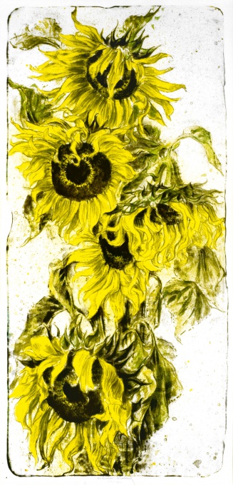 Slunečnice II.