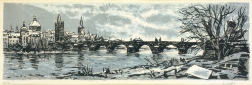 Praha u Karlova mostu