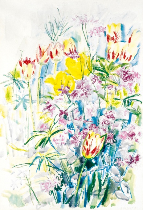 Tulipány II.