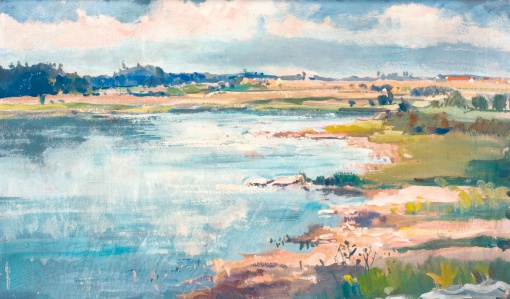 Jihočeský rybník