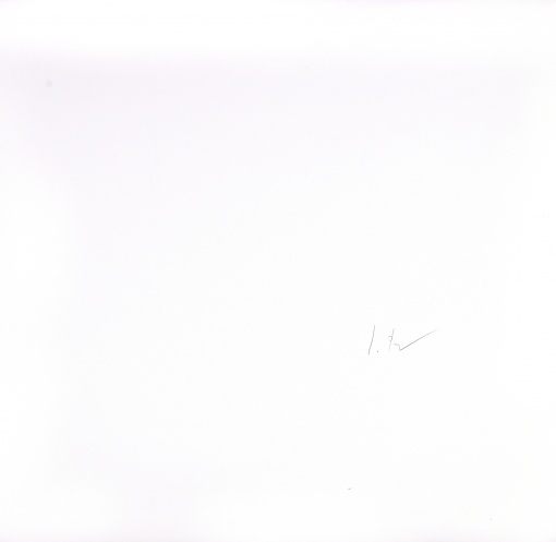 Růst