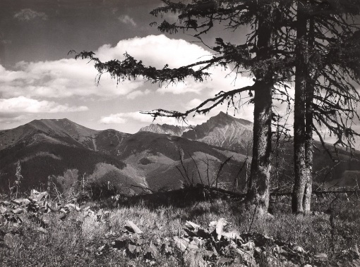 Podbansko