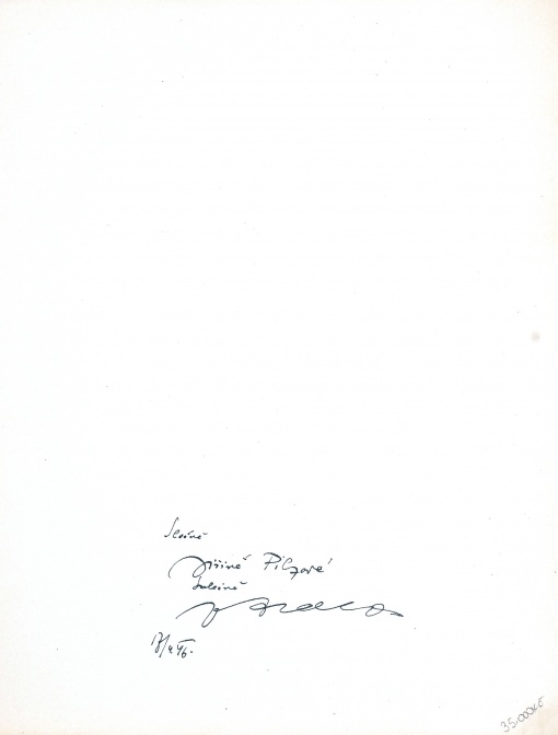 Torso naděje, František Halas