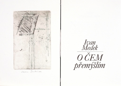 O čem přemýšlím, Ivan Medek