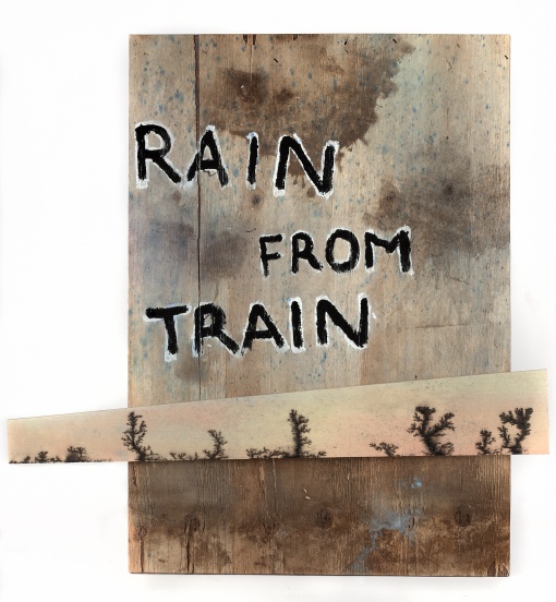 Rain from Train