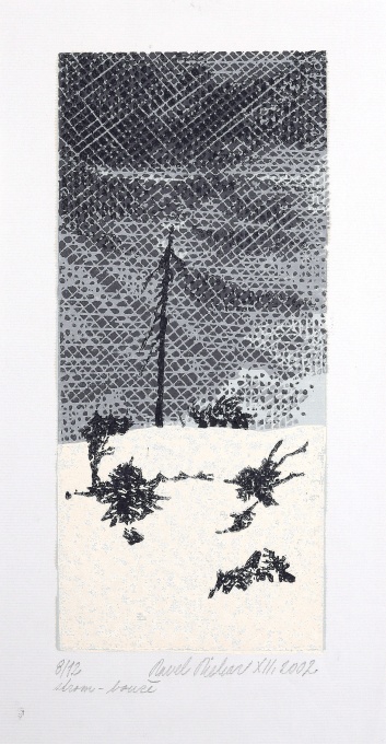 Strom - louže