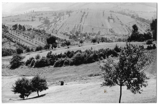 Morava