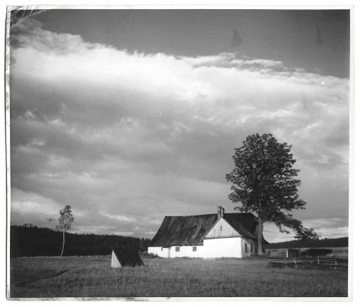 Vysočina