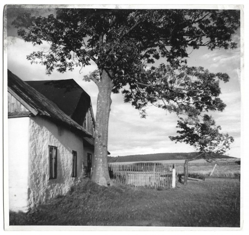 Vysočina