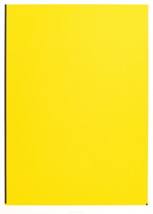 Žluté pole