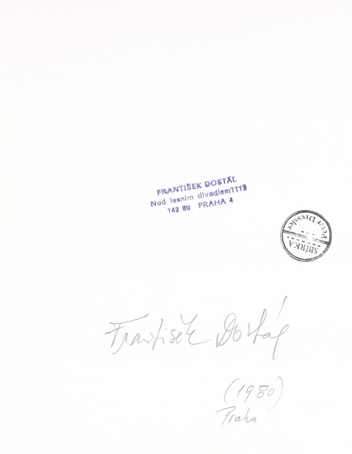 Počítání vajec