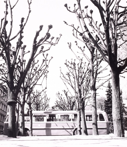 Královo pole