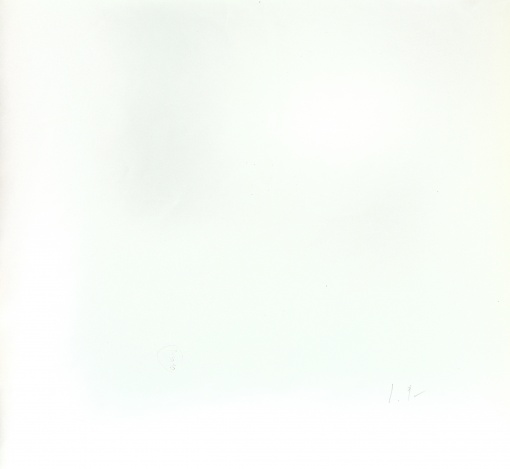 Rostliny