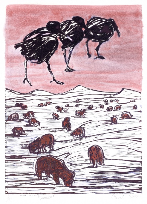 Merino