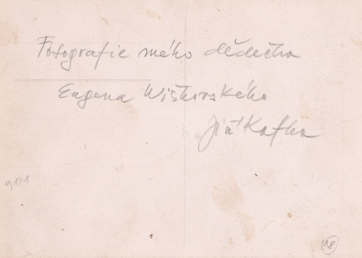Kupky sena