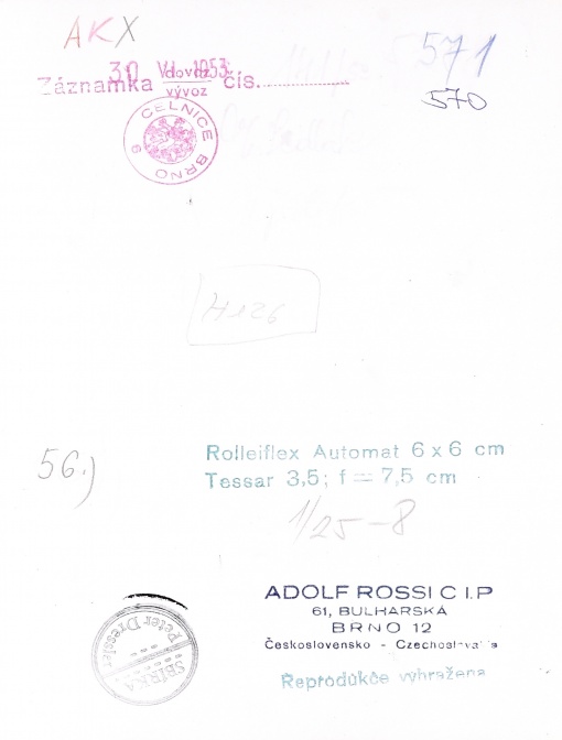 Zimní vycházka