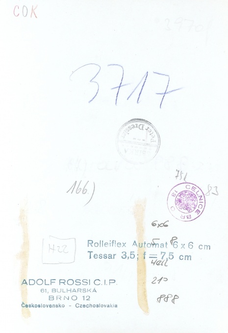 Závod