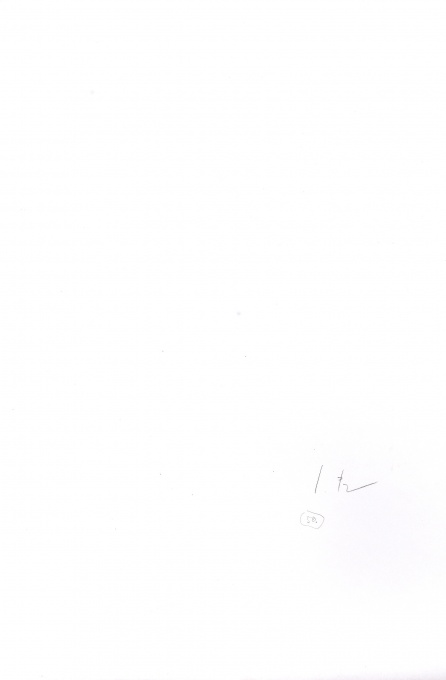 Růst