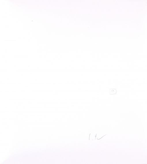 Kapradí