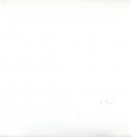 Příroda