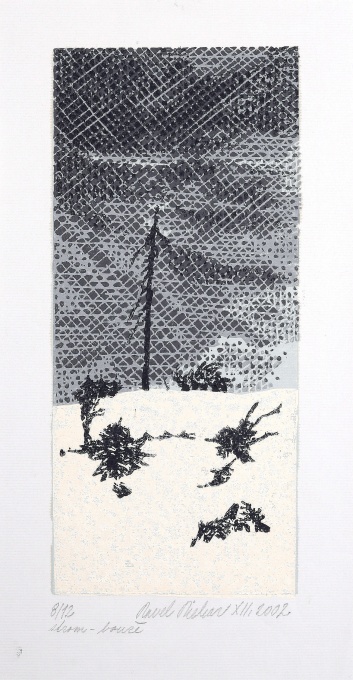 Strom - louže