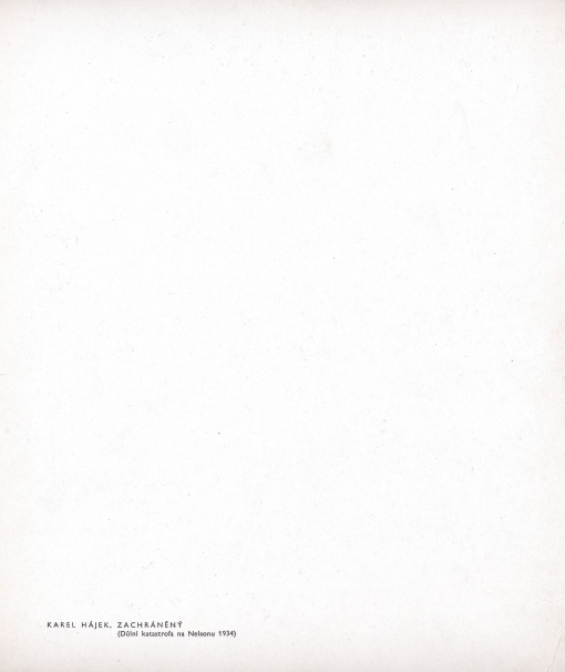 Zachráněný (Důlní katastrofa na Nelsonu)