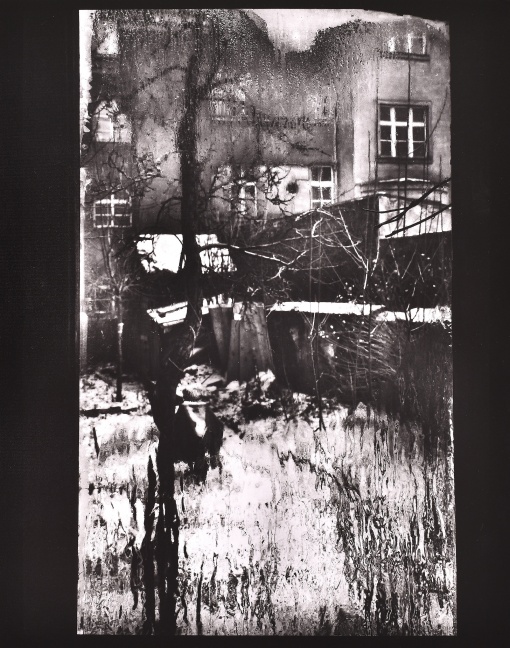 Z cyklu Okna mého ateliéru I.