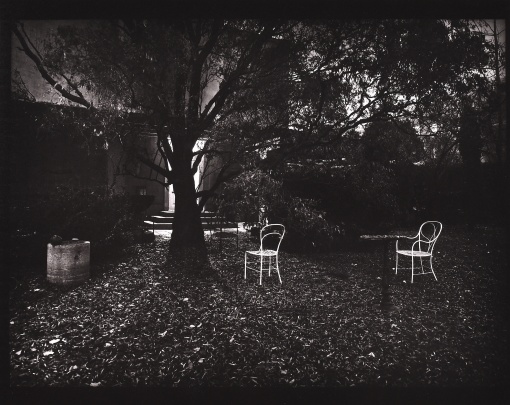 Z cyklu Procházky - Kouzelná zahrádka