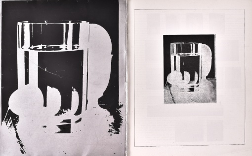 Z cyklu Procházky - Kouzelná zahrádka