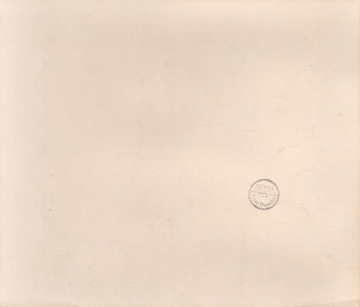 Pod obloukem Karlova mostu