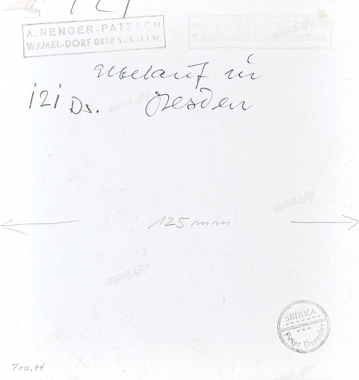 Labe v Drážďanech