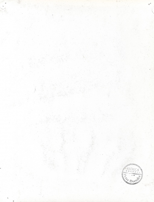 Lea Destrait (acordeon Cavagnolo)