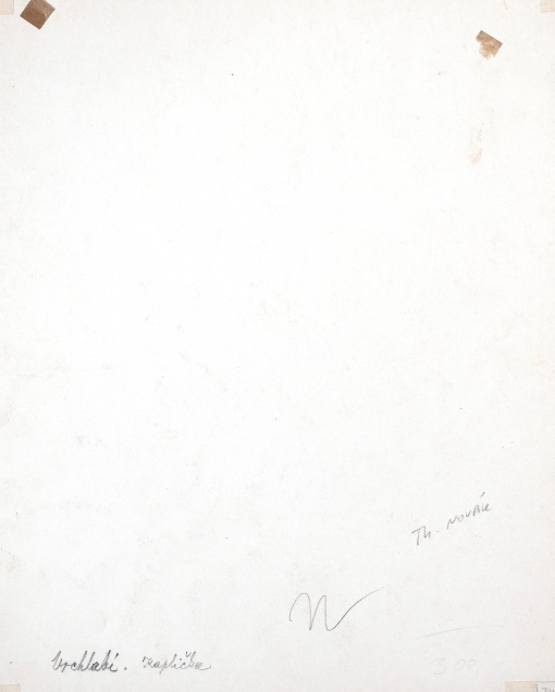 Kaplička, Vrchlabí