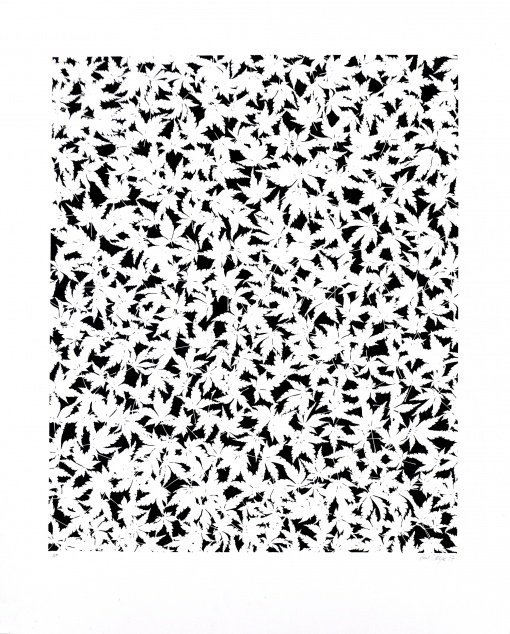 Listy čínského javoru, 2 ks