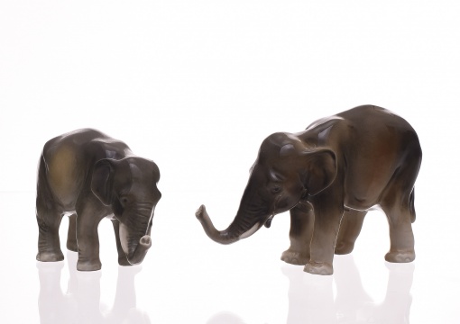 Slon, 2 ks