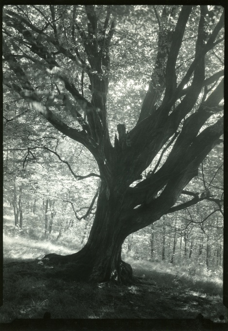 Procházka po Mionší