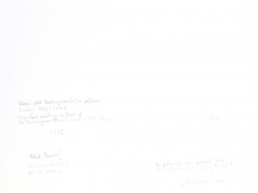 Čekání před Buckinghamským palácem